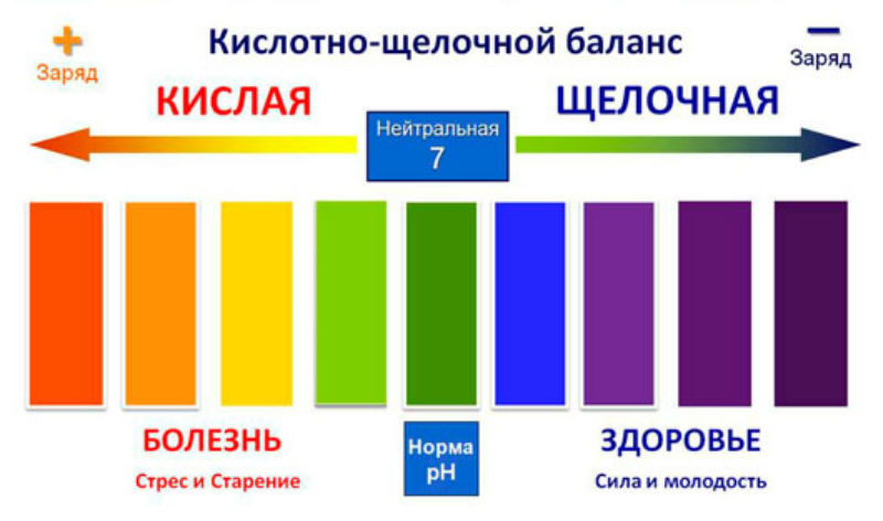 КАНГЕН ВОДА_ЩЕЛОЧНАЯ ВОДА_+7(926) 565-3661_www.voda4life.com